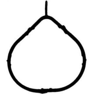 Прокладка впускного коллектора Victor Reinz 71-53406-00 фото