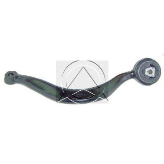 рычаг перед лев фото