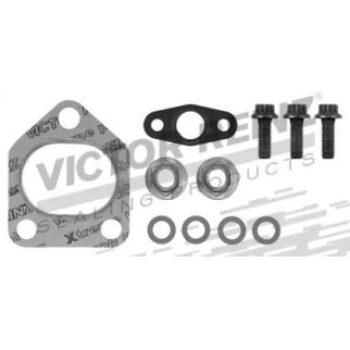 Набор прокладок турбокомпрессора (турбины) Victor Reinz 04-10029-01 фото