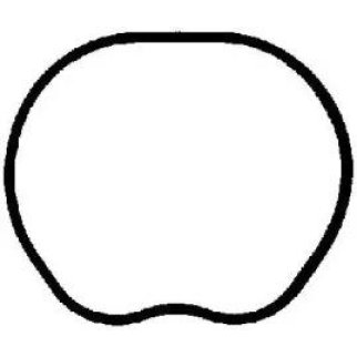 Прокладка впускного коллектора Victor Reinz 71-35533-00 фото