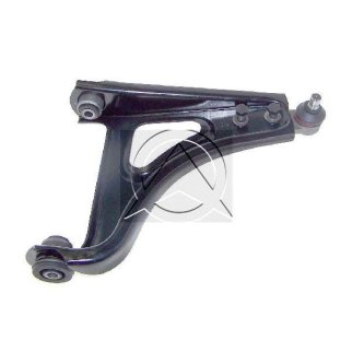 Рычаг передний SIDEM 5573 фото