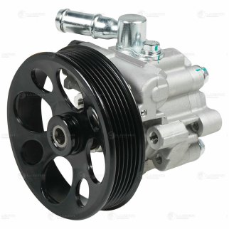 Насос ГУР для а/м Chevrolet Captiva (06-)/Opel Antara (06-) 2.2D (LPS 0522) фото