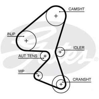Ремень ГРМ GATES 5656XS фото