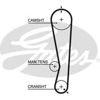 Ремень ГРМ GATES 5591XS фото