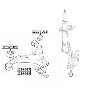 Рычаг передний левый ASVA 1224-018 фото