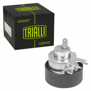 Ролик ГРМ TRIALLI CM 1813 фото