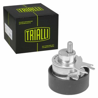 Ролик ГРМ TRIALLI CM 1813 фото