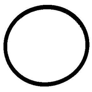 Прокладка впускного коллектора Elring 470.370 фото