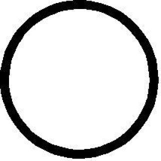 Прокладка термостата Elring 977.447 фото