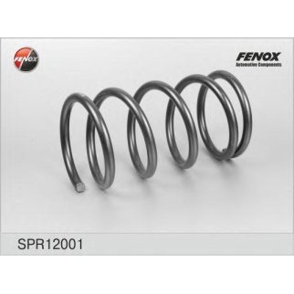 Пружина задняя Fenox SPR12001 фото