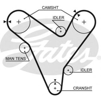 Ремень ГРМ фото