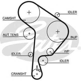 Ремень ГРМ GATES 5559XS фото