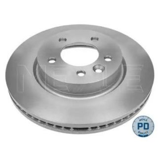 Торм.диск пер.вент.(317x30) 5 отв. /PLATINUM DISC/ фото