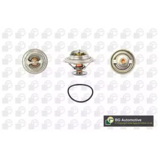 Термостат bmw e36/e34/e39 m40/m43/m50/m52 (комплект) фото