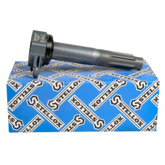 61-00299-SX_катушка зажигания! Subaru Legacy V 2.5i AWD 09> фото