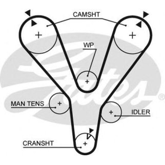 Ремень ГРМ GATES 5555XS фото