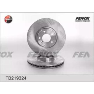 Диск тормозной передний вентилируемый Fenox TB219324 фото