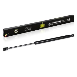 Амортизатор передний TRIALLI GS 0829 фото