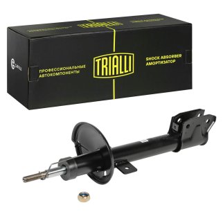 Амортизатор задний TRIALLI AG09520 фото
