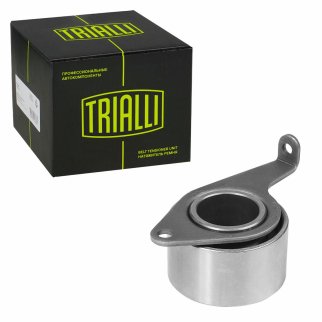 Ролик ГРМ TRIALLI CM 6125 фото