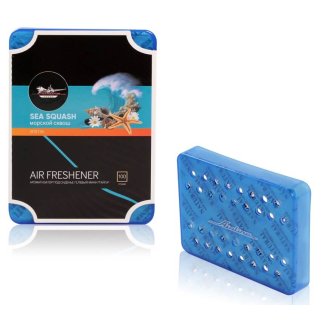 AFSI136_ароматизатор под сиденье! гелевый мини тайга морской сквош фото