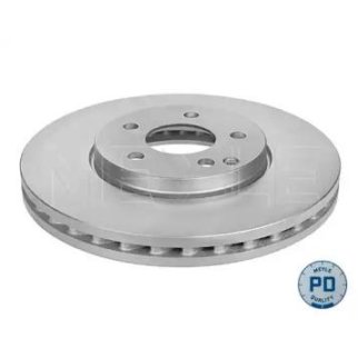Торм.диск пер.(303x30) 5 отв /PLATINUM DISC/ фото