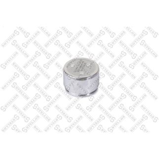 04-98300-SX_поршень суппорта! d45 Sumimoto Mitsubishi Pajero IV,Toyota Land Cruiser Prado 02-10 фото