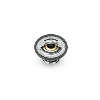 Термостат Opel Antara (2007-2015), Opel Zafira B (2005-2012) фото 2
