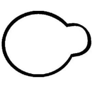 Прокладка впускного коллектора 71-29486-00 фото