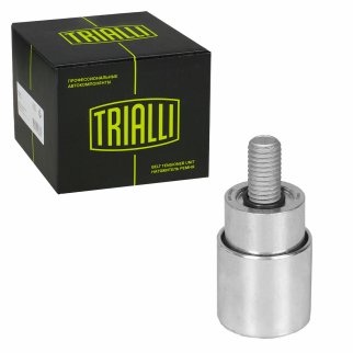 Ролик ГРМ TRIALLI CM 3013 фото