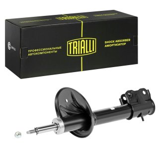 Амортизатор передний TRIALLI AG 11055 фото