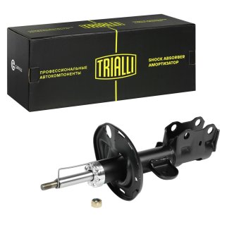 Амортизатор передний левый TRIALLI AG 19179 фото
