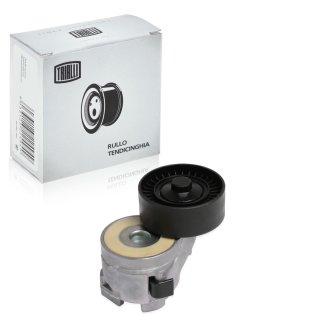 Ролик ручейкового ремня TRIALLI CMS 1604 фото