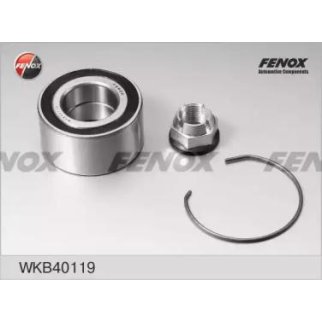 Подшипник ступицы (к-кт) Fenox WKB40119 фото