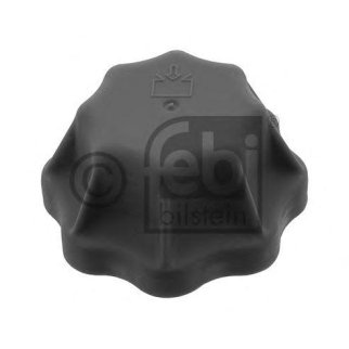 Крышка бачка расширительного КАМАЗ-5490 MAN MERCEDES IVECO FEBI фото