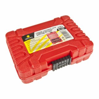 Набор головок для поврежденных болтов и гаек, 3/8" 11пр.(9-17, 19мм) в кейсе ЭВРИКА фото 1