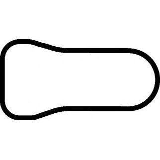 Прокладка впускного коллектора Elring 380.770 фото