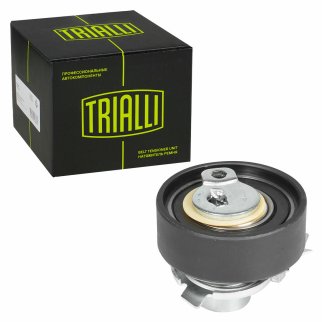 Ролик ГРМ TRIALLI CM 6048 фото 2