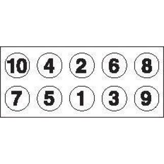 К-кт болтов головки блока Payen HBS078 фото