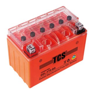 Аккумуляторная батарея TCS GEL 9 (YT9-BS) 150x86x107 фото