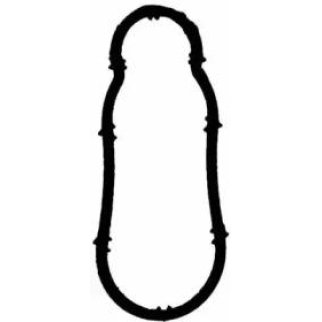 Прокладка впускного коллектора Victor Reinz 71-36067-00 фото