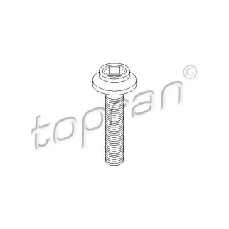 Болт topran 108139686 фото