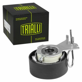 Ролик ГРМ TRIALLI CM 2001 фото 2