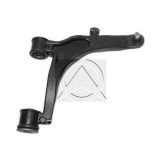 Рычаг передний SIDEM 6173 фото