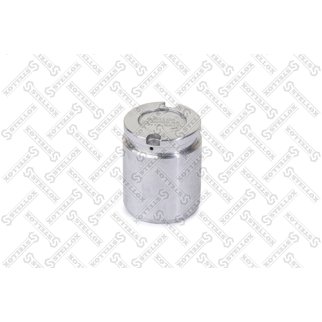 04-98328-SX_поршень суппорта! d41 Lucas Audi A4, Opel Insignia, Skoda Octavia, VW Golf/T5 фото