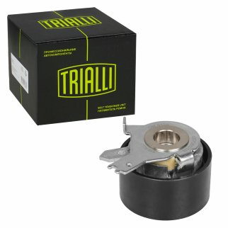 Ролик ГРМ TRIALLI CM 6105 фото