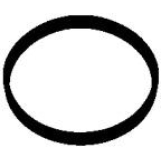 Прокл.впуск.кол-ра фото