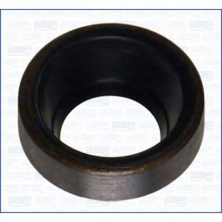 Сальник фото