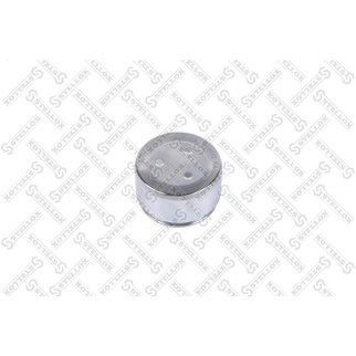 04-98318-SX_поршень суппорта перед.! d51 Toyota Land Cruiser 100, Lexus LX 98> фото