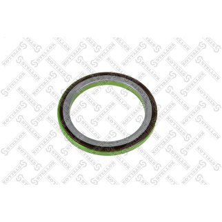 81-01381-SX_сальник хвостовика! FKM, задн.моста 110.23x145x10/12 Iveco Cursor, Volvo FM9 фото